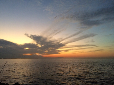 ライトゲームプラッキング釣果