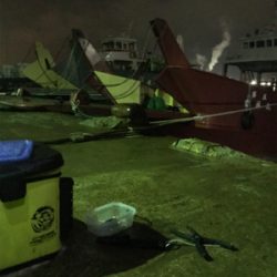 懲りずにヒイカ釣りσ(^_^;)