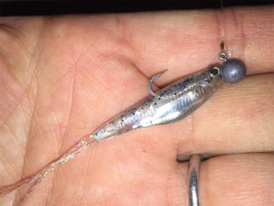 タケノコメバルっぽいけど、違う気がする!