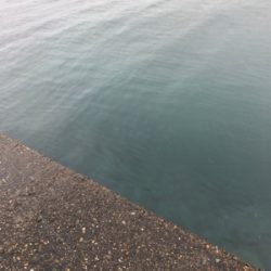 極寒のロックフィッシュゲーム