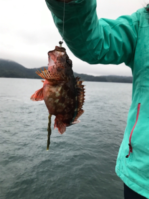 御所浦ライトゲームリベンジ③