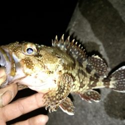 メバリングランガン