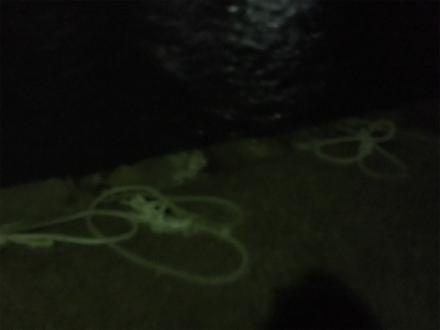 大荒れライトゲーム