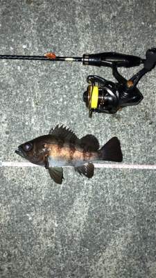 6時間耐久メバリング