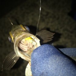 仲間とメバリング