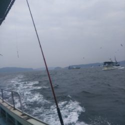 出血大サービス!