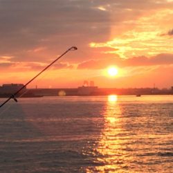 虫餌で五目釣り…ならず