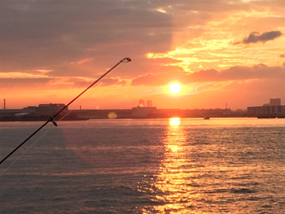 虫餌で五目釣り…ならず