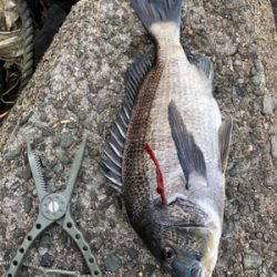 いい引きでした