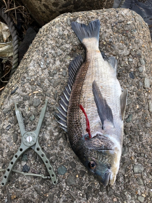 いい引きでした