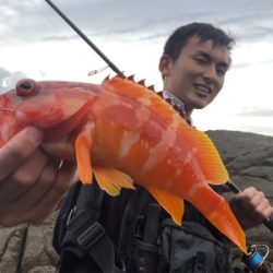 弁天ハードロック!