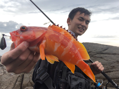 弁天ハードロック!