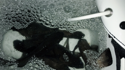 雨後の高活性！