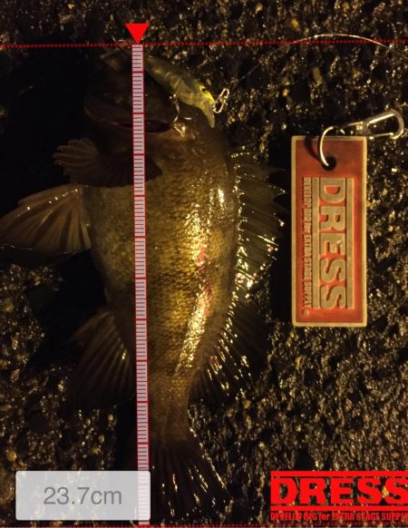 ライトゲーム修行