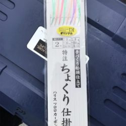 小豆島  鯛サビキ