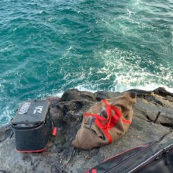 四万十市 沖磯 フカセ釣り