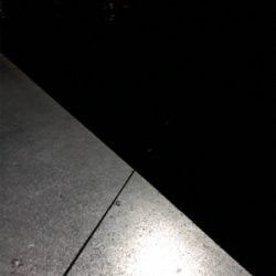 ロックフィッシュゲーム