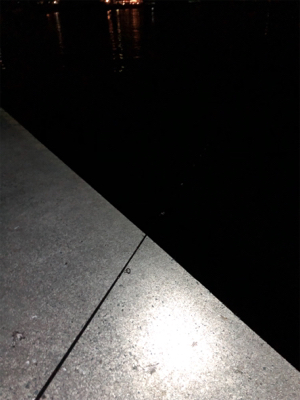 ロックフィッシュゲーム