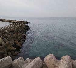 ナマコリング( ^o^)