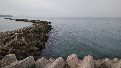 ナマコリング( ^o^)