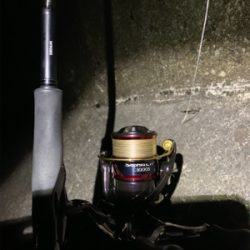 ヤリイカ、ケンサキイカ釣果!