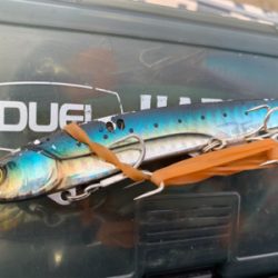 酔いどれガッツ♫