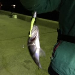 爆風樋島ライトゲーム