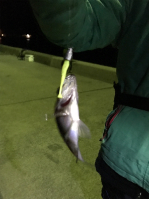 爆風樋島ライトゲーム