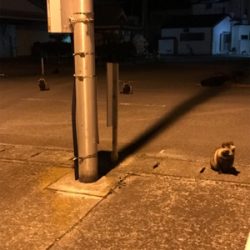 久しぶりの餌釣り