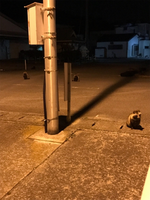 久しぶりの餌釣り
