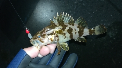 ナイトメバリング