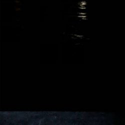 ガシラは裏切らない