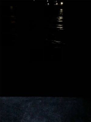 ガシラは裏切らない