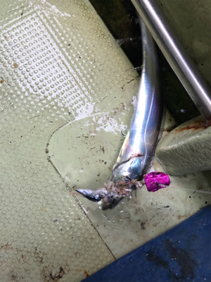 洲本沖  太刀魚