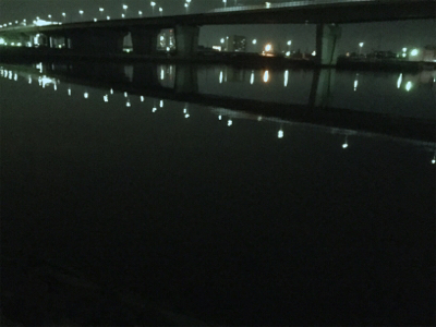 メバルとタッケー