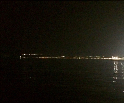 メバルのちシーバス