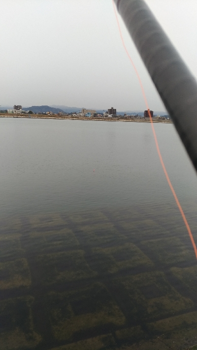 2/11の釣果　チヌチヌサバサバ