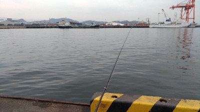 2/16釣果 フカセ釣りでタチウオが!!