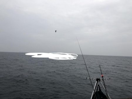 ヤリイカ ツ抜け達成