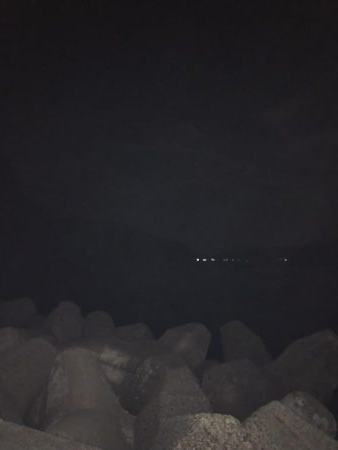 イカが食べたくて…