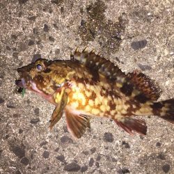 出張の楽しみ④最終日