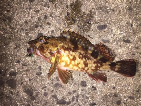 出張の楽しみ④最終日