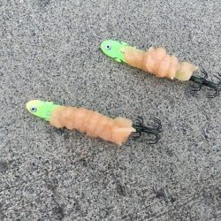 人生初のヤリイカ釣行