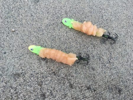 人生初のヤリイカ釣行