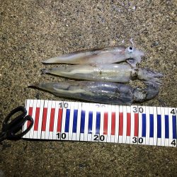 最後の一投で！