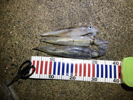 最後の一投で！