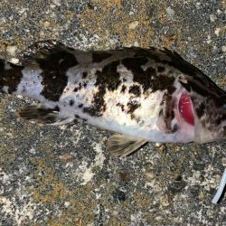 痛恨ラインブレイク