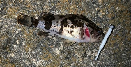 痛恨ラインブレイク