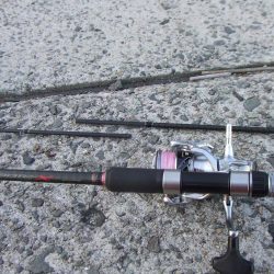 今期初チヌも、ロッド破損