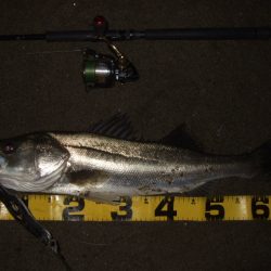 真冬から春のパターンへ